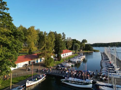 Koncert Zespołu "Cellofuny" | Fotorelacja 