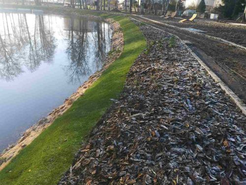 Park przy Gdańskiej - staw i wodny plac zabaw